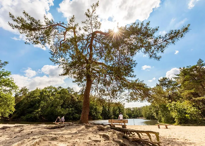 Guest house De Wensput De Moer